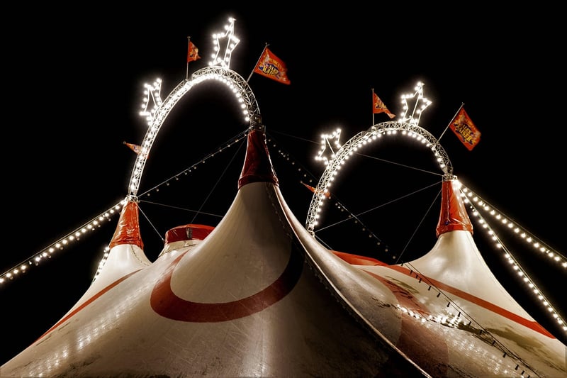 Circus-themed Weddings
